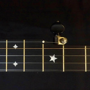 Rickard Custom Tubaphone 5 String Banjo Rickard 5 String Banjos