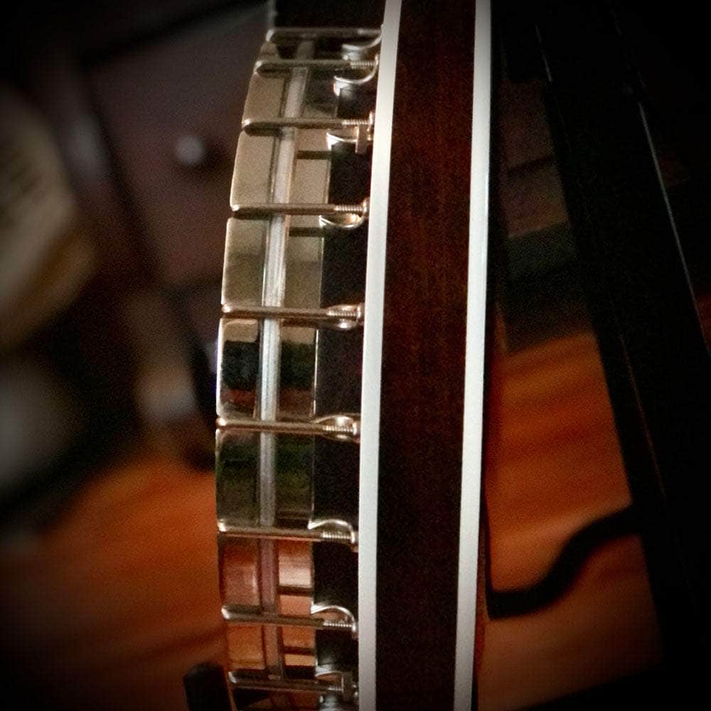 Deering Eagle II 19Fret Tenor Banjo Banjo Studio