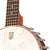 Vega Senator 6-String Banjo Vega 6 String Banjos Default