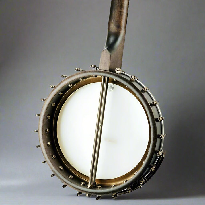 Vega Vintage Star Banjo Deering 5 String Banjos