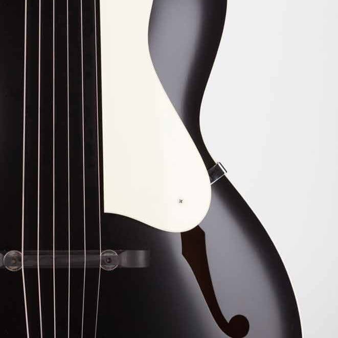 Waterloo Archtop Guitar - Jet Black Collings Guitars