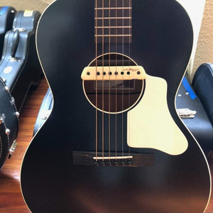 Waterloo WL-14 X Guitar Jet Black with LR Baggs Pickup - Banjo Studio