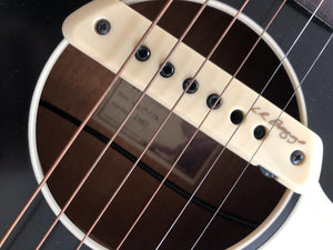 Waterloo WL-14 X Guitar Jet Black with LR Baggs Pickup Collings Guitars