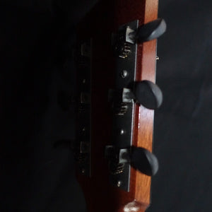 Waterloo WL-14 XTR (X Bracing, Truss Rod) by Collings Guitars Collings Guitars